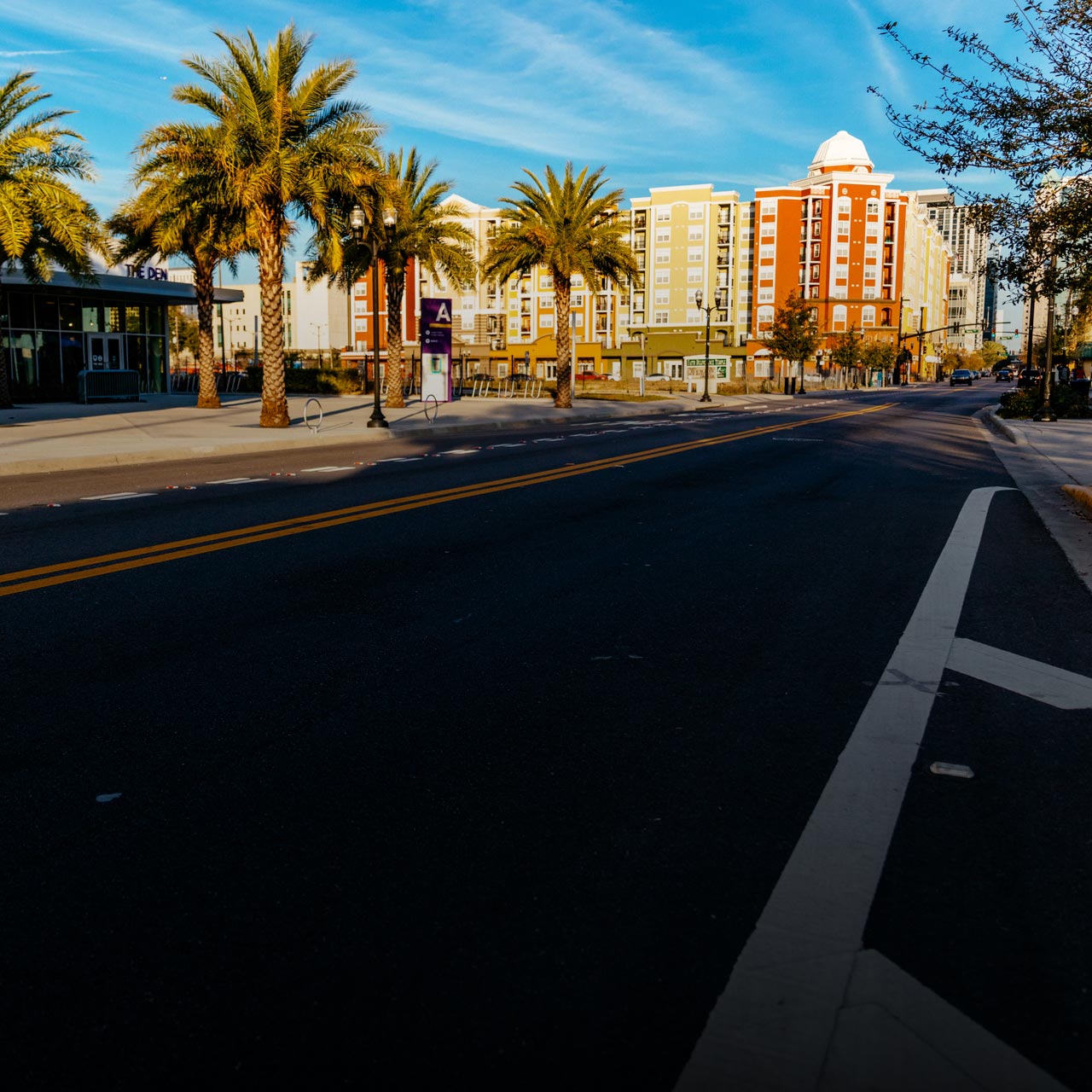 road, buildings, and trees
